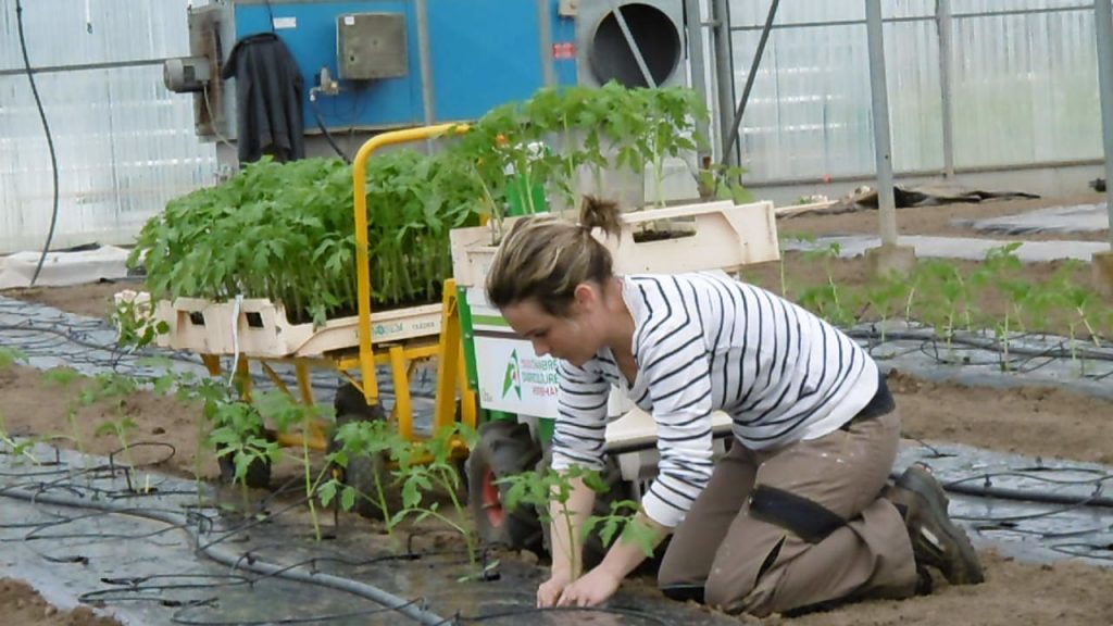 Station expérimentation Chambre Agriculture de Bretagne Sud