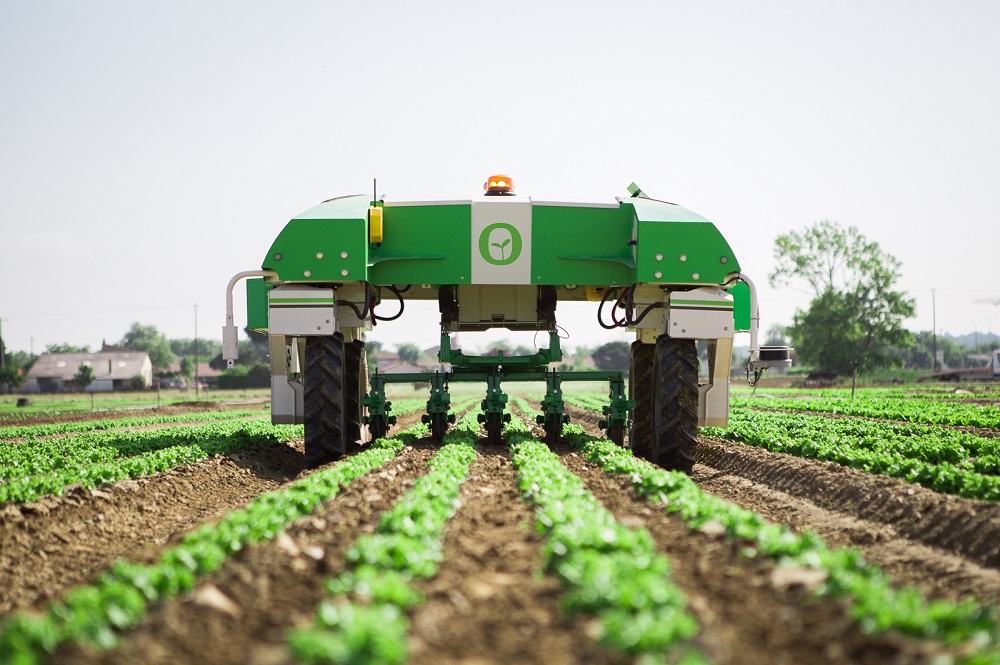 Dino Vegetable Weeding Robot Crosses The Atlantic | Naïo Technologies