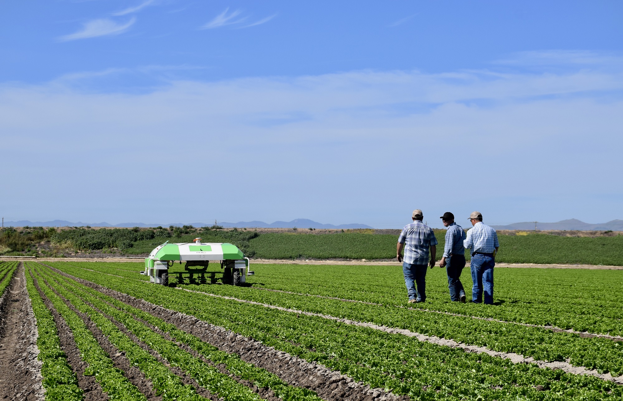 Инженеры франции. Аргентина сельское хозяйство овощи. Agriculture Robot. Поля Аграрные овощные для детей фото. Ackerbau.